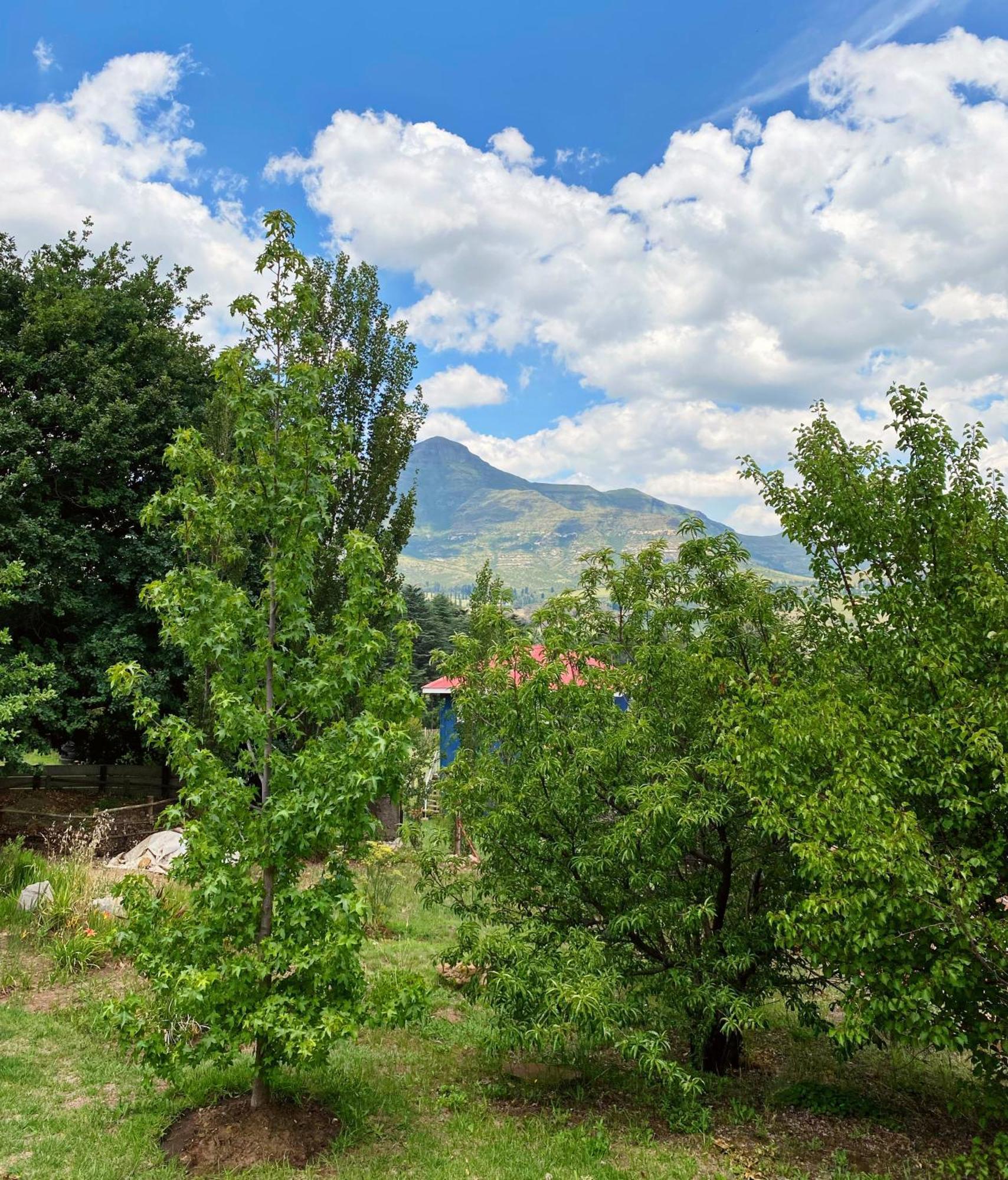 Collett House And Lavender Cottage Clarens Buitenkant foto